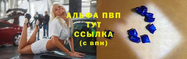 прущие грибы Осташков