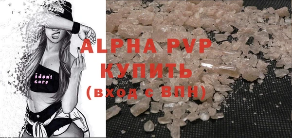 индика Волосово
