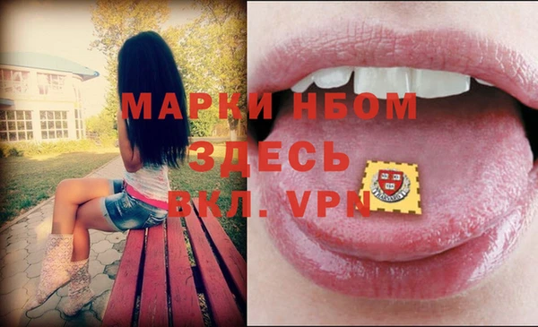 прущие грибы Осташков