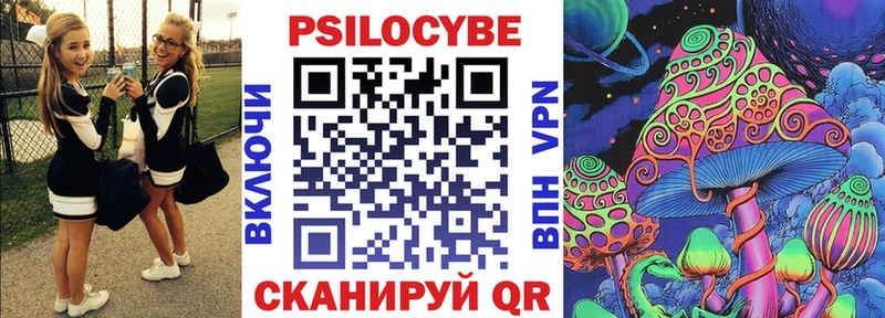 Галлюциногенные грибы Psilocybe  кракен как войти  Камышлов 